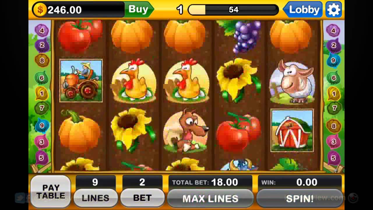 casino stars faça login entre agora