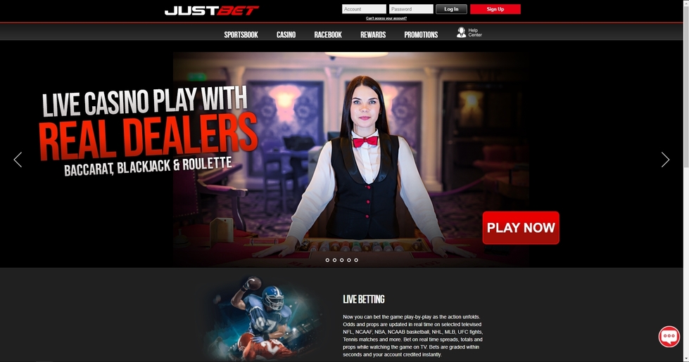 White Lion   Online -Casino -Spiele