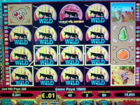 Casino pharaohs fortune