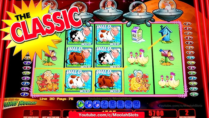 double triple chance kostenlos spielen ohne anmeldung