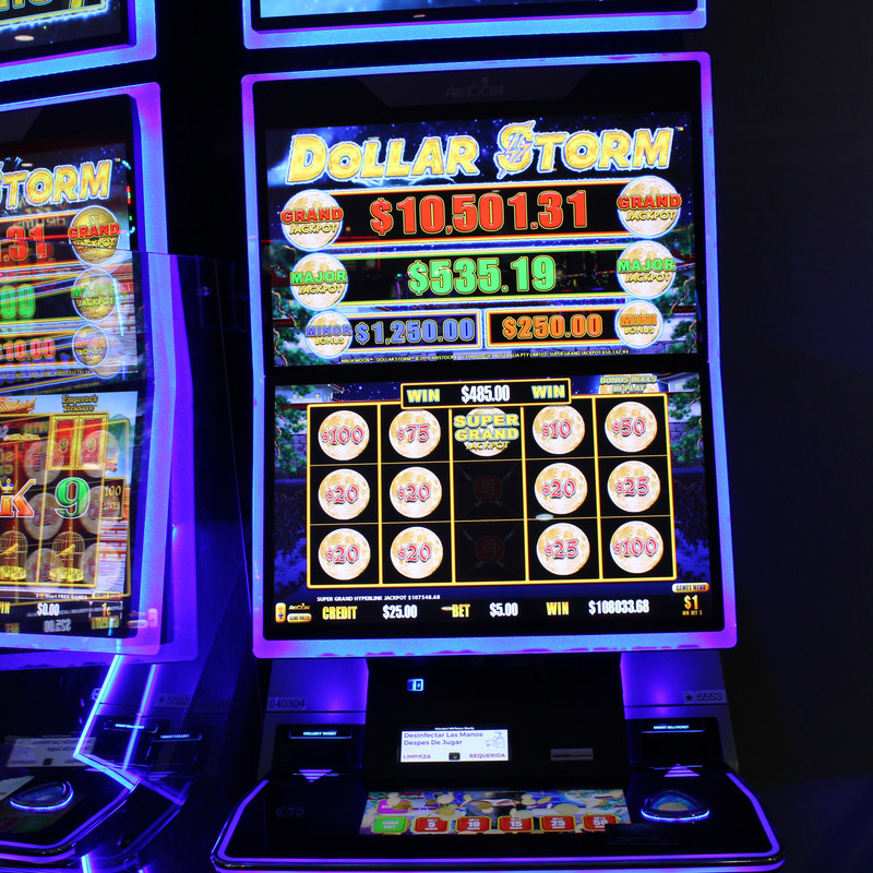 pokie pixies in the forest real money