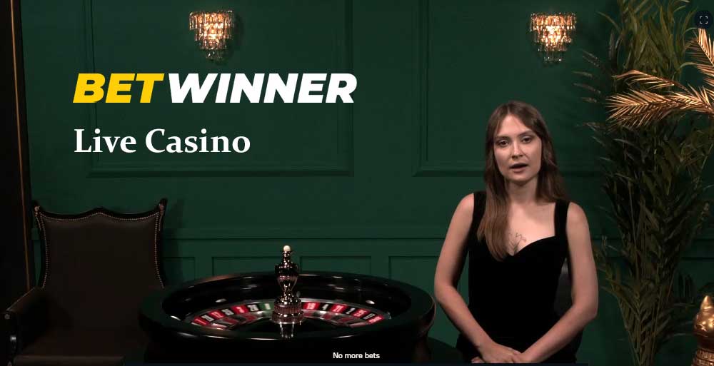 100 Free Spins Casino cashmio
