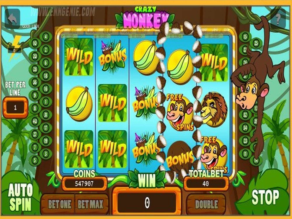 50 free spins on dragons fire no deposit